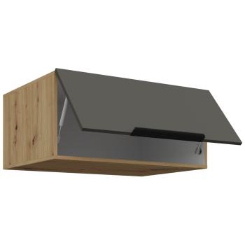 lempert-80-NAGU-36-1F-ARIA-ERIS-17-1-3